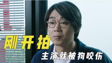 娱乐吃瓜君121期,揭秘娱乐圈最新热点，带你领略明星幕后故事